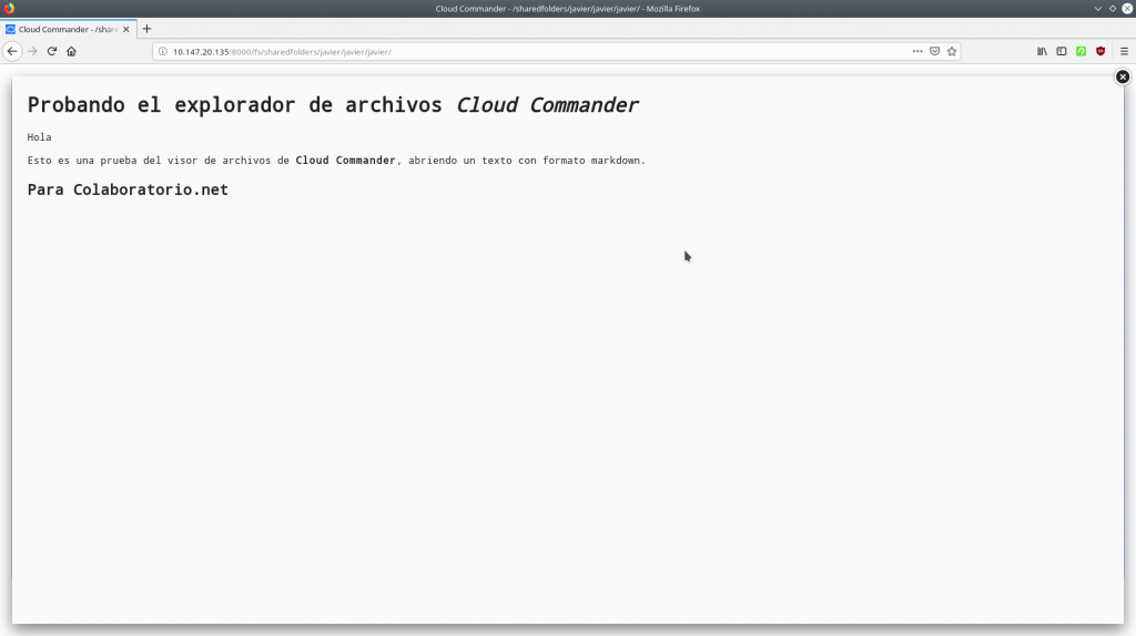 Captura de pantalla que muestra el visor de archivos abriendo uno, en formato Markdown.