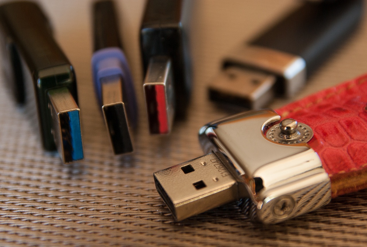 Se ven varias unidades USB de diferentes formas.