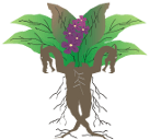 Logotipo de Dragora. es algo así como un planta ¿mandragora?